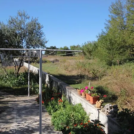 With Parking Space Privlaka, Zadar - 667 Apartament Privlaka (Zadar)