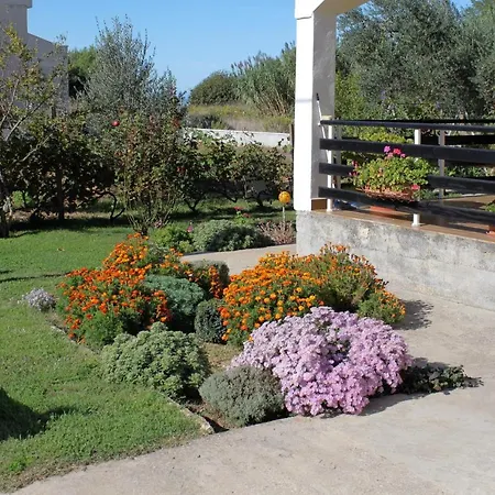With Parking Space Privlaka, Zadar - 667 Apartamento Privlaka (Zadar)